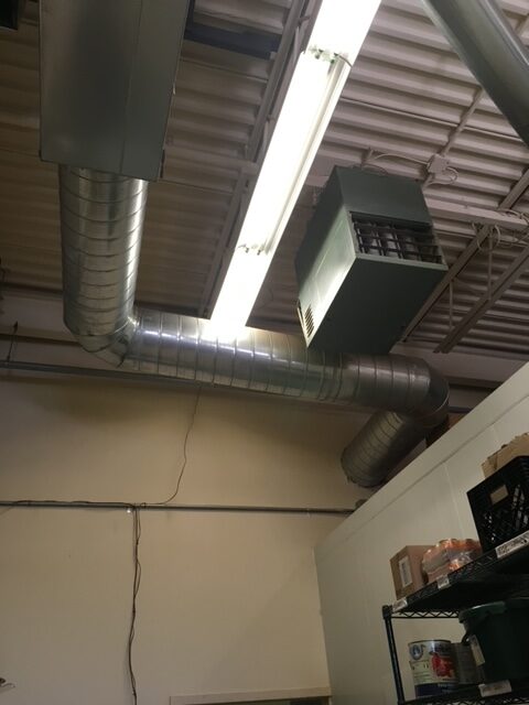 Gas or electric grill